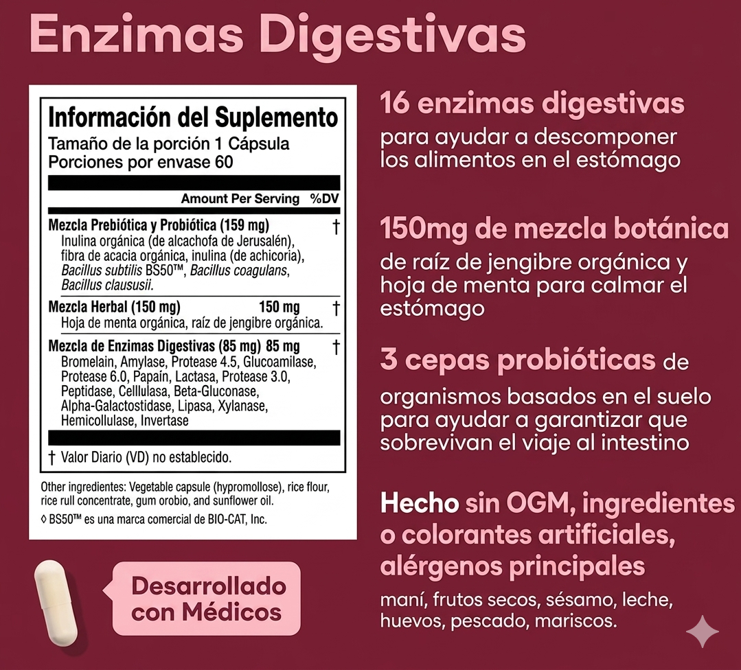 Enzimas Digestivas: Aliviar el malestar post-comida