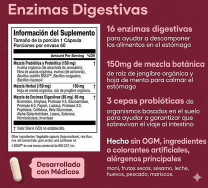 Enzimas Digestivas: Aliviar el malestar post-comida